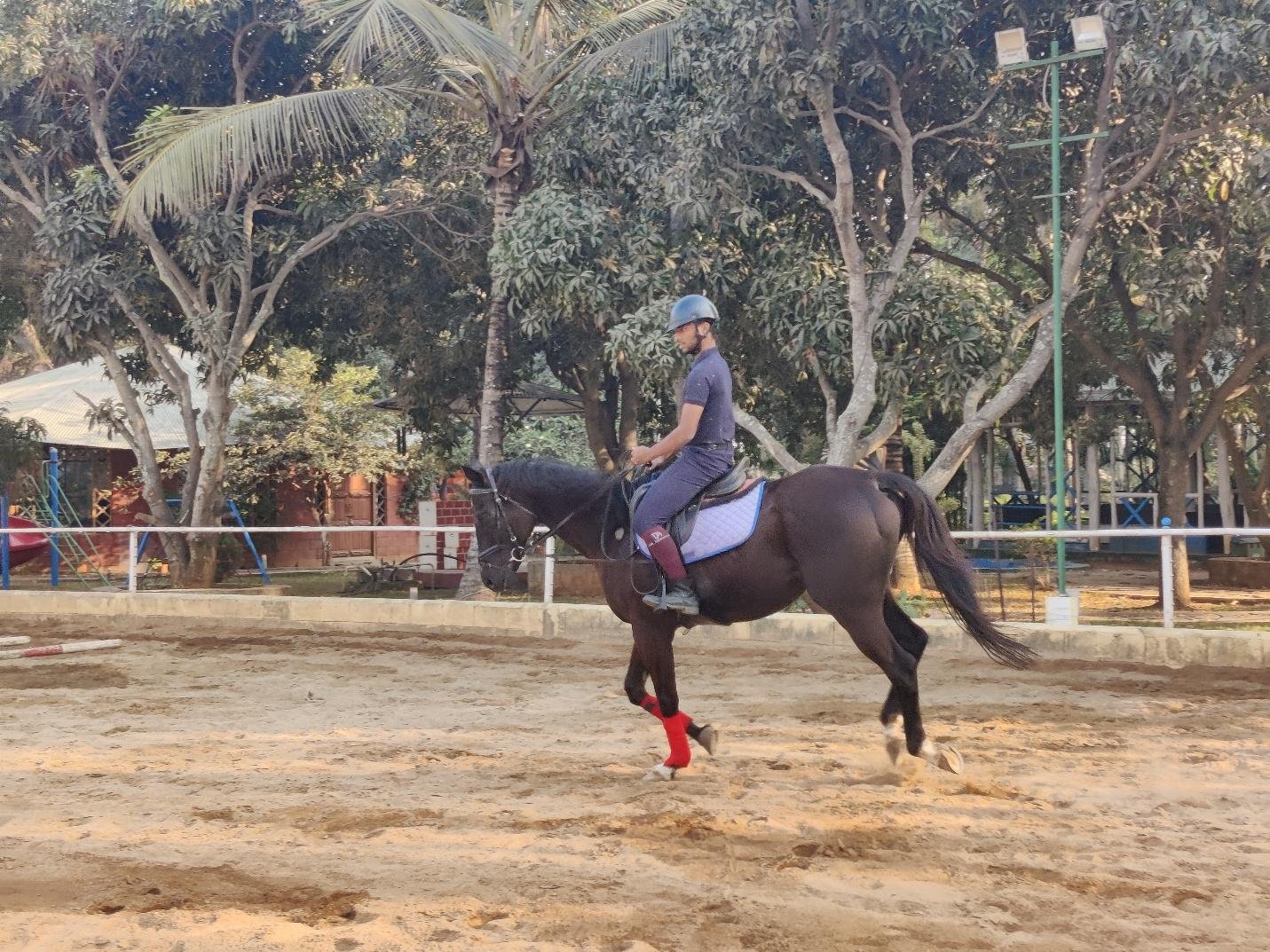 Intermediate Training